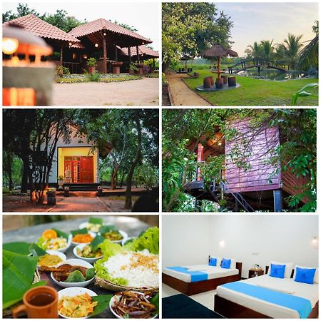 Ceylon Amigos Eco Resort Sigiriya Eksteriør bilde