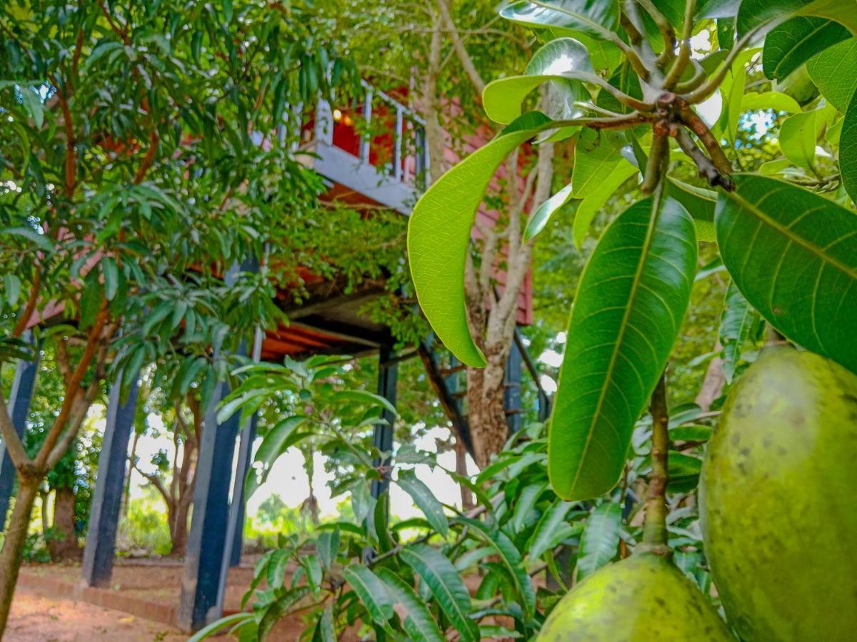 Ceylon Amigos Eco Resort Sigiriya Eksteriør bilde