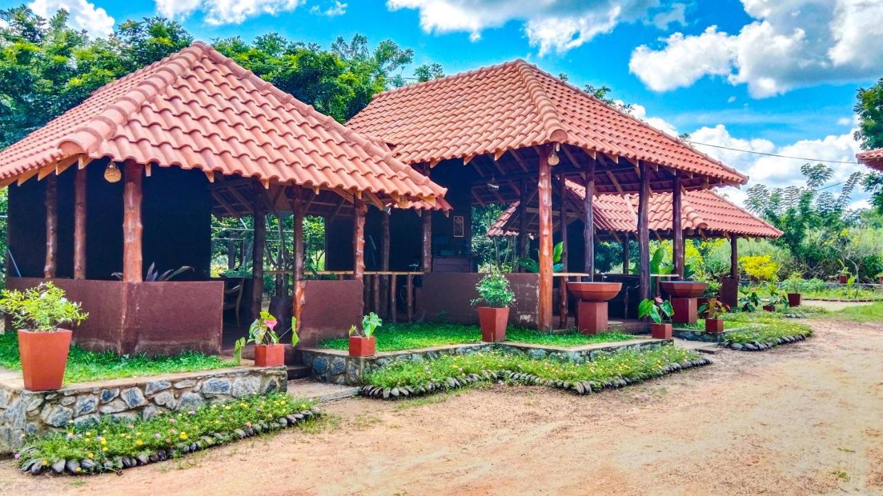 Ceylon Amigos Eco Resort Sigiriya Eksteriør bilde