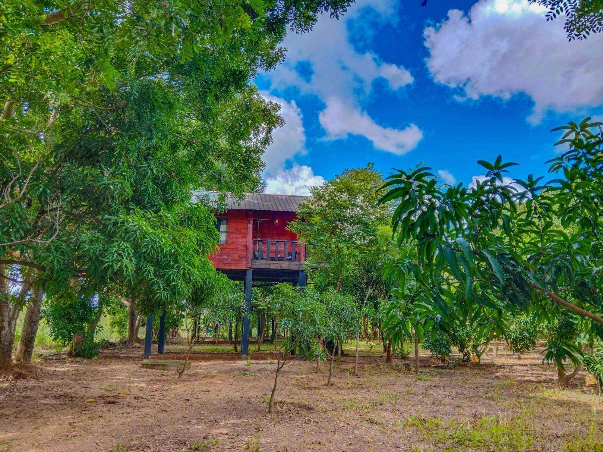 Ceylon Amigos Eco Resort Sigiriya Eksteriør bilde