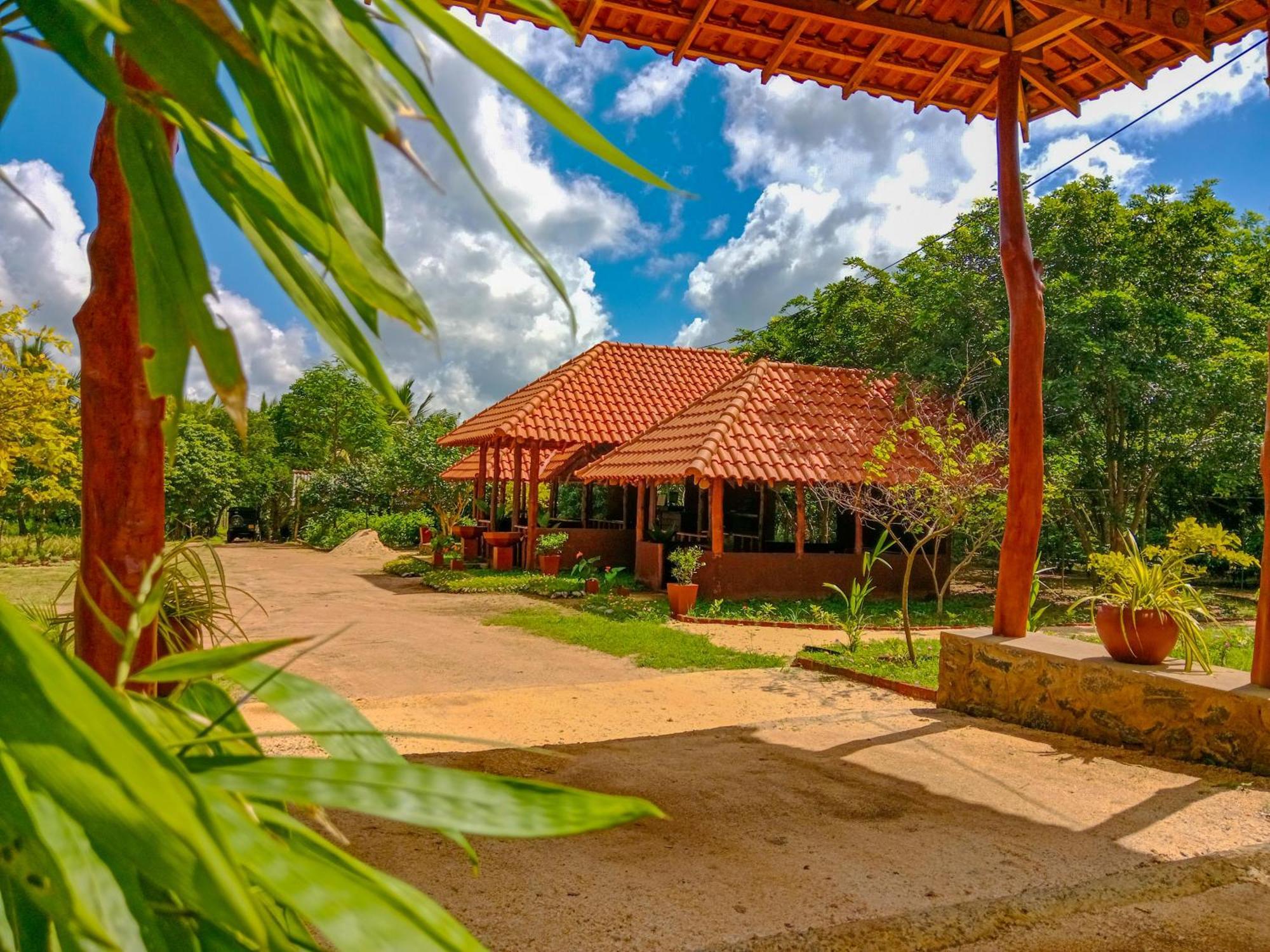 Ceylon Amigos Eco Resort Sigiriya Eksteriør bilde