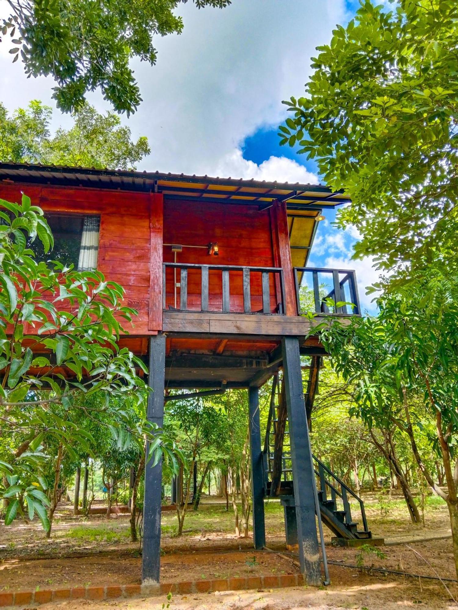 Ceylon Amigos Eco Resort Sigiriya Eksteriør bilde